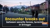 Encounter breaks out between security forces, terrorists in Srinagar