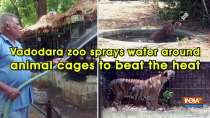 Vadodara zoo sprays water around animal cages to beat the heat