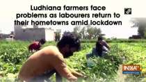 Ludhiana farmers face problems as labourers return to their hometowns amid lockdown