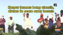 Kanpur farmers bang utensils, drums to scare away locusts