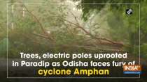 Trees, electric poles uprooted in Paradip as Odisha faces fury of cyclone Amphan