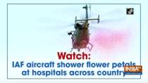 Watch: IAF aircraft shower flower petals at hospitals across country