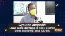 Cyclone Amphan: Large scale damage to trees, electric poles expected, says IMD DG
