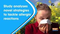 Study analyses novel strategies to tackle allergic reactions