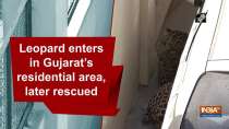 Leopard enters in Gujarat