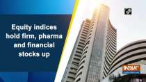 Equity indices hold firm, pharma and financial stocks up