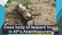 Dead body of leopard found in AP