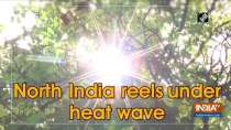 North India reels under heat wave