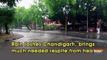Rain lashes Chandigarh, brings much needed respite from heat