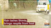 Rain lashes Shimla, brings respite from heat