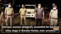Chinese woman allegedly assaulted for feeding stray dogs in Greater Noida