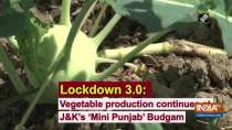 Lockdown 3.0: Vegetable production continues at J-K