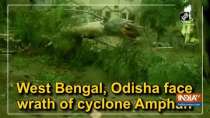 West Bengal, Odisha face wrath of cyclone Amphan