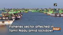 Fisheries sector affected in Tamil Nadu amid lockdown