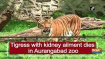 Tigress with kidney ailment dies in Aurangabad zoo