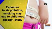 Exposure to air pollution, smoking may lead to childhood obesity: Study