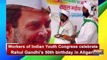 Workers of Indian Youth Congress celebrate Rahul Gandhi