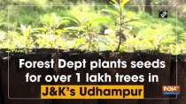 Forest Dept plants seeds for over 1 lakh trees in JK