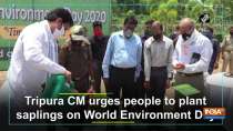 Tripura CM urges people to plant saplings on World Environment Day