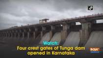 Watch: Four crest gates of Tunga dam opened in Karnataka