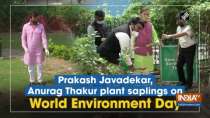 Prakash Javadekar, Anurag Thakur plant saplings on World Environment Day
