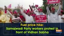 Fuel price hike: Samajhwadi Party workers protest in front of Vidhan Sabha