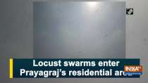 Locust swarms enter Prayagraj