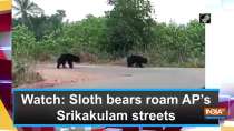 Watch: Sloth bears roam AP