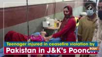 Teenager injured in ceasefire violation by Pakistan in J-K