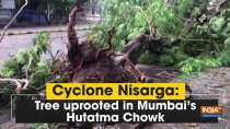 Cyclone Nisarga: Tree uprooted in Mumbai