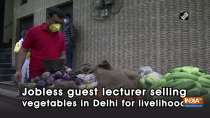Jobless guest lecturer selling vegetables in Delhi for livelihood