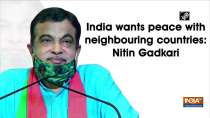 India wants peace with neighbouring countries: Nitin Gadkari