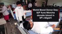 World Blood Donor Day: BJP Yuva Morcha donate blood in UP