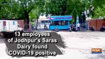 13 employees of Jodhpur