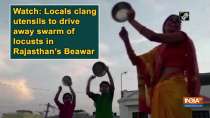 Watch: Locals clang utensils to drive away swarm of locusts in Rajasthan