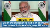 COVID-19: Green shoots begun to visible in economy because of Indians efforts, says PM Modi