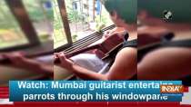Watch: Mumbai guitarist entertains parrots through his windowpane
