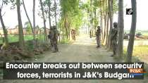 Encounter breaks out between security forces, terrorists in JandK