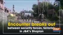 Encounter breaks out between security forces, terrorists in J-K