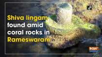 Shiva lingam found amid coral rocks in Rameswaram