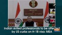 Indian skilled professionals to be affected by US curbs on H-1B visa: MEA