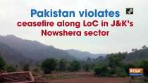 Pakistan violates ceasefire along LoC in J-K