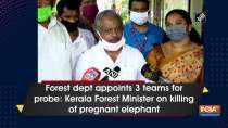 Forest dept appoints 3 teams for probe: Kerala Forest Minister on killing of pregnant elephant