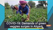 COVID-19: Demands of green veggies surges in Aligarh