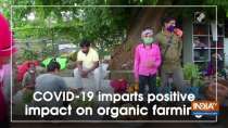 COVID-19 imparts positive impact on organic farming
