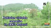 Pakistan violates ceasefire in JandK