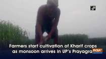 Farmers start cultivation of Kharif crops as monsoon arrives in UP