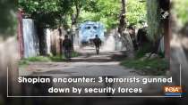Shopian encounter: 3 terrorists gunned down by security forces