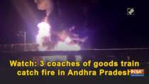 Watch: 3 coaches of goods train catch fire in Andhra Pradesh