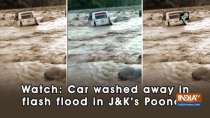 Watch: Car washed away in flash flood in J&K